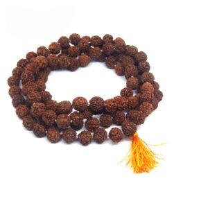 Panch Mukhi Rudraksh